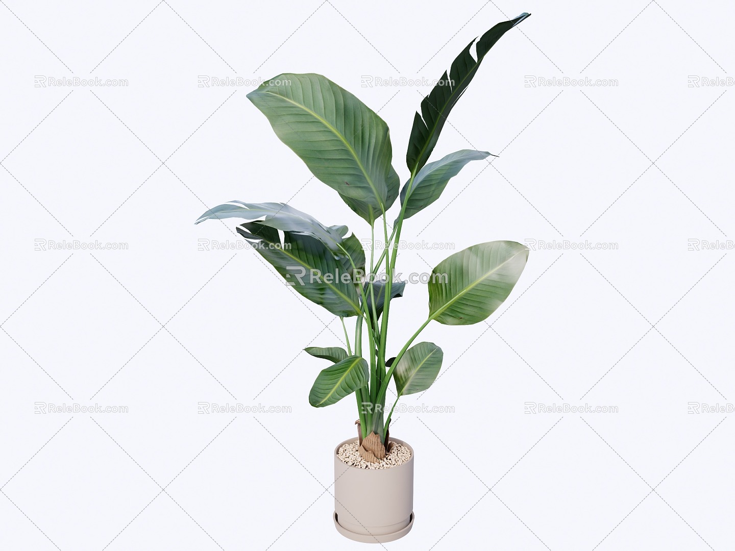 indoor potted plant 3d model