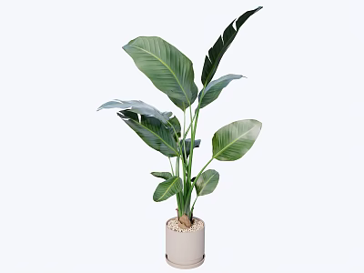 Elegant Indoor Potted Plant With Large Green Leaves In Beige Ceramic Pot 3d model