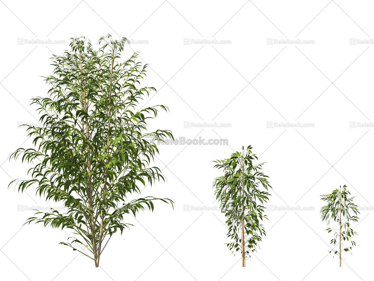 Modern Bamboo Golden Room Bamboo 3d model