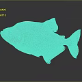 Colorful Fish With White Body Red Head Large Eyes And Purple Tail In Gray Background