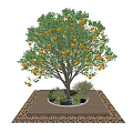 Garden Ornament Featuring Orange Fruited Tree On Wooden Platform With Small Plants And Gravel