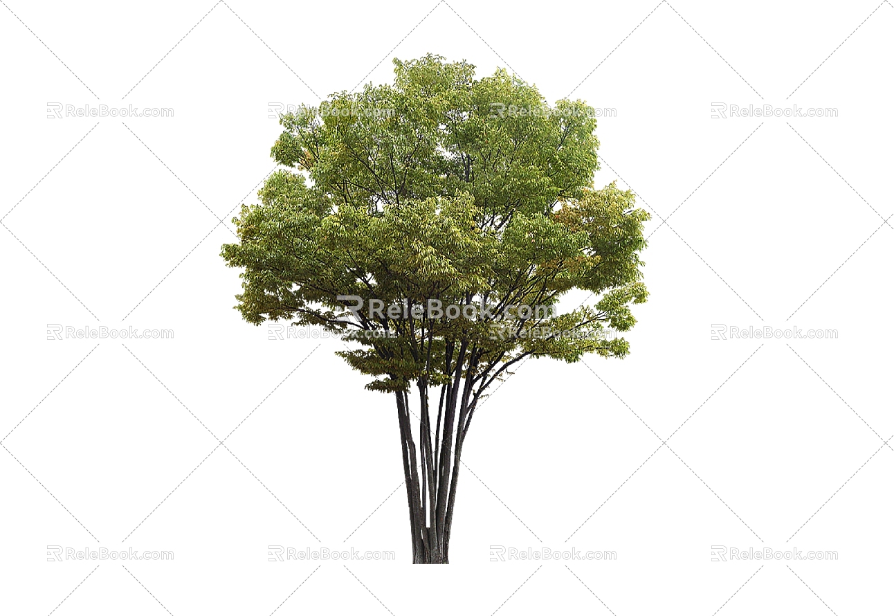 Tree 3d model