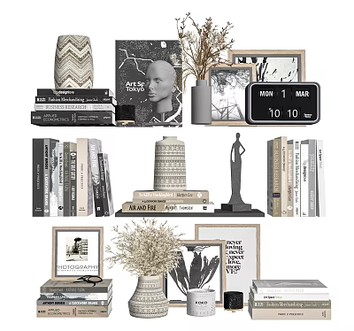 Modern Ornamental Decor Collection with Books Photo Frames Sculpture Vase Clock And Dried Plants 3d model