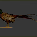 Pheasant Taxidermy With Vibrant Green Head Red Chest And Colorful Tail On Wooden Base