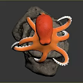 Orange and Red Octopus with White Tentacles Perched on Gray Rock Decorative Model 3d model