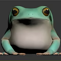 Turquoise Green Frog With Yellow Eyes White Underbelly And Pink Toes On Dark Reflective Surface