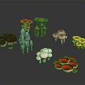 Colorful Various Types Of Mushrooms On Dark Background With Reflections And Arrangement