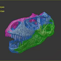Detailed Dinosaur Skull Model Displaying Cranial Organ Structure Sharp Teeth and Textured Surface 3d model
