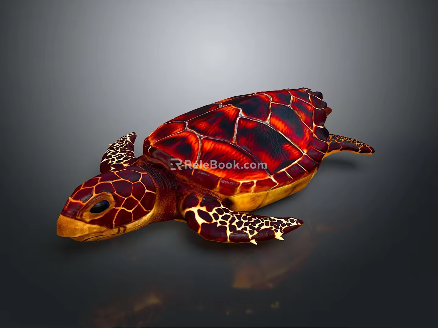 Turtle Cartoon Turtle Snapping Turtle Chickbill Turtle Reptile Cold Blooded Animal Reptile Class 3d model