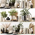 Decorative Ornament Arrangement with Green Plants Vases Books and Decorative Items