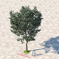 Arbor on Gray Square Tile Ground With Green Circular Base Small White Object And Shadow 3d model