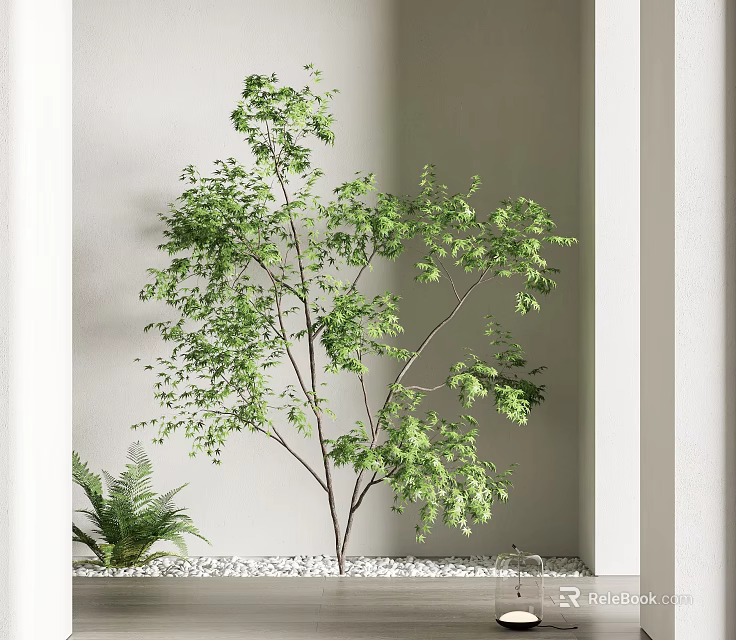 Lush Green Tree Against White Wall with Fern Plant and Decorative Base 3d model 