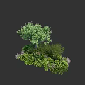 Lush Diverse Shrubs With Green Foliage And Mixed Plants In Garden Landscape