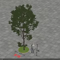 Arbor with Green Lawn Human Model and Measuring Pole on Gray Paved Ground 3d model