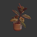 Vibrant Indoor Houseplant With Green And Red Leaves In Brown Decorative Pot