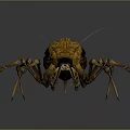 3D Fantasy Insect Character Design With Yellow Brown Exoskeleton And Long Legs