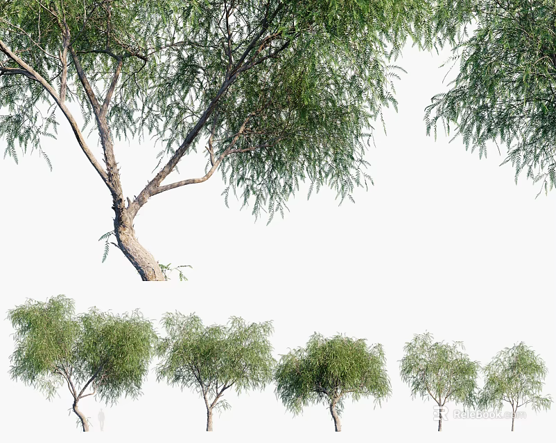 Tall Leafy Arbor Trees With Curved Trunks And Dense Green Foliage In Row 3d model 