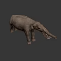 Realistic Gray Elephant 3D Model With Long Trunk Tusks And Detailed Skin Texture