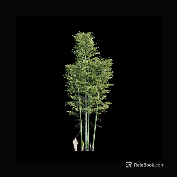 Tall Bamboo Plants With Green Leaves And Slender Stems Next To Human Figure 3d model 