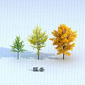 Ginkgo Arbor Showcase With Green Yellow And Golden Leaves In Different Growth Stages