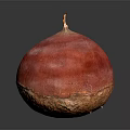 Fresh Organic Red Beetroot Vegetable Close Up With Shiny Surface On Dark Background