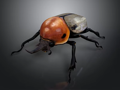 Rhinoceros Beetle With Red Head Black Body And Shiny Exoskeleton On Dark Background 3d model