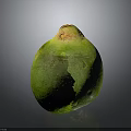 Fresh Whole Green Coconut Tropical Fruit With Yellow Top On Gray Background
