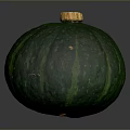 Fresh Green Pumpkin With Striped Surface And Yellow Stem As Organic Vegetable