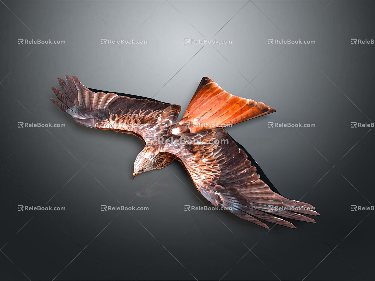 Eagle Large Eagle Owl Raptor Falcon Bird Bird Bird Animal Game Animal 3d model