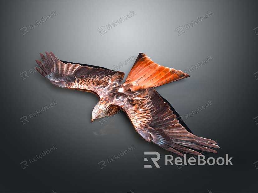 Eagle Large Eagle Owl Raptor Falcon Bird Bird Bird Animal Game Animal model