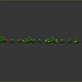 Colorful Plants With Green Leaves And Red Yellow Flowers Arranged On Dark Background