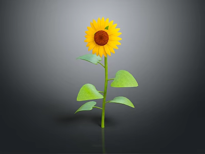 Yellow Sunflower in Ceramic Vase with Green Stem Leaves and Black Background Reflection 3d model