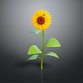 Yellow Sunflower in Ceramic Vase with Green Stem Leaves and Black Background Reflection