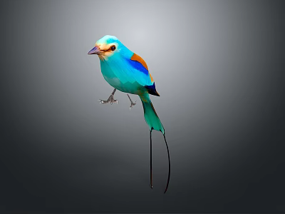 Colorful Blue Bird with Orange and Brown Wings Long Tail on Gray Background 3d model