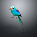Colorful Blue Bird with Orange and Brown Wings Long Tail on Gray Background
