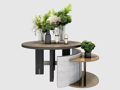 Decorative Table Setup With Round Wooden Top Green Plants And Marble Side Table 3d model