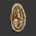 Game Movie Character Inspired Mystery Egg With Fossil Like Face Texture And Brown Uneven Surface