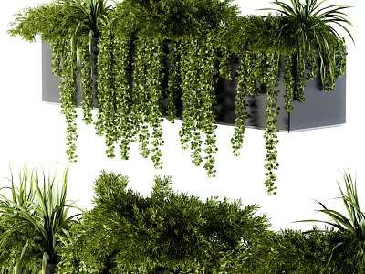 Lush Green Hanging Plants With Various Vines In Decorative Planter Boxes 3d model