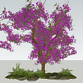 Vibrant Purple Flowering Shrub With Lush Green Leaves And Grass Around Trunk