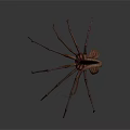 Fantasy Spider Like Creature With Long Legs And Curled Tail 3d model