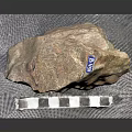 Natural Stone Specimen Placed On Mesh Pad With Blue Label And Measuring Ruler
