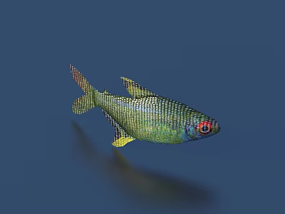 Green Fish With Red Eyes And Yellow Fins Swimming In Blue Background 3d model