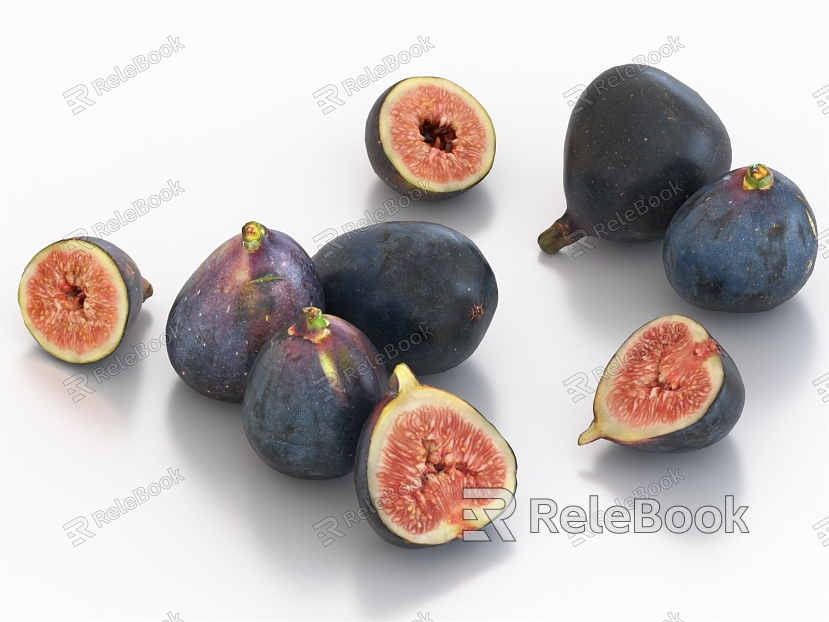 Fig fruit model