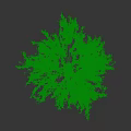 Tall Arbor with Lush Green Foliage and Straight White Trunk in Natural Scene
