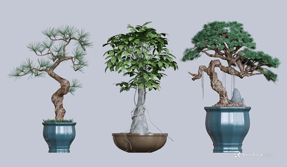 Three Different Bonsai Plants in Blue and Brown Ceramic Pots for Indoor Ornamental Decor 3d model 