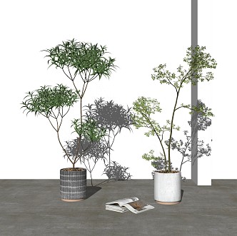 Modern potted plant ornaments 3d model