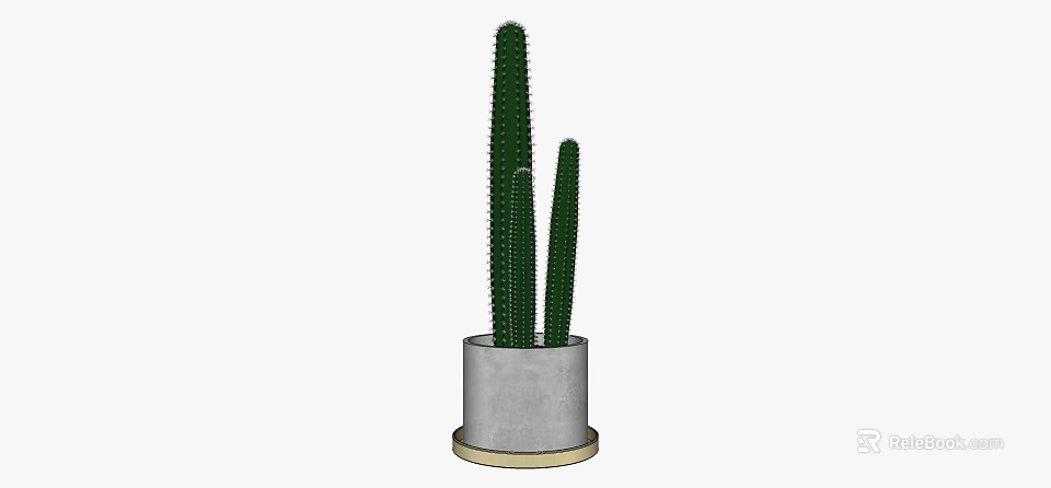 Tall Cactus Potted Plant With Gray Concrete Pot And Gold Base 3d model 