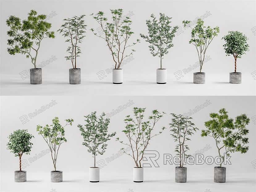 Modern potted plant potted landscape tree model