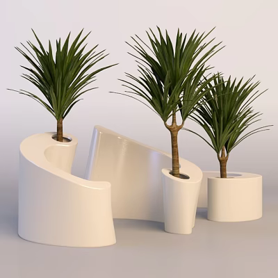 Bonsai Potted Plants With Modern White Curved Planters And Lush Green Foliage 3d model
