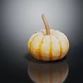 Fresh Yellow And Orange Striped Pumpkin With Stem On Black Background